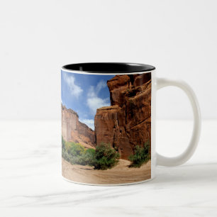 Nordamerika, USA, Arizona, Navajo Indianer 5 Zweifarbige Tasse