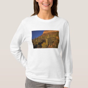 Nordamerika, USA, Arizona, Orgelpfeife Cactus 2 T-Shirt