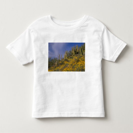 Nordamerika, USA, Arizona, Orgelpfeife Kleinkind T-shirt (Vorderseite)