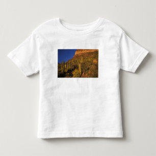 Nordamerika, USA, Arizona, Orgelpfeifenkaktus 2 Kleinkind T-shirt