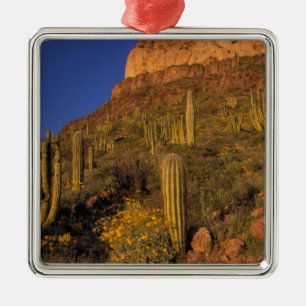 Nordamerika, USA, Arizona, Orgelpfeifenkaktus 2 Ornament Aus Metall