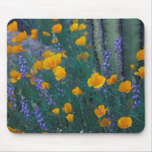 Nordamerika, USA, Arizona, Orgelpfeifenkaktus Mousepad