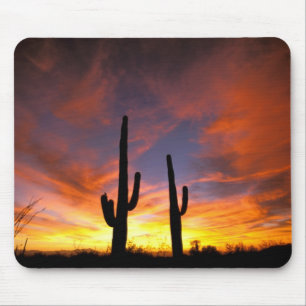 Nordamerika, USA, Arizona, Sonora-Wüste. Mousepad