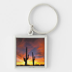 Nordamerika, USA, Arizona, Sonora-Wüste. Schlüsselanhänger