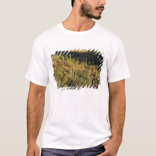Nordamerika, USA, Arizona, Sonora-Wüste T-Shirt