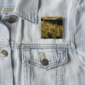 Nordamerika, USA, Arizona, Sonoran Wüste Button (Beispiel)