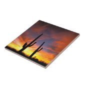 Nordamerika, USA, Arizona, Sonoran Wüste Fliese (Seite)