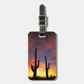 Nordamerika, USA, Arizona, Sonoran Wüste. Gepäckanhänger (Vorderseite vertikal)