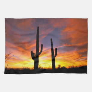 Nordamerika, USA, Arizona, Sonoran-Wüste. Handtuch