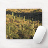 Nordamerika, USA, Arizona, Sonoran Wüste Mousepad (Mit Mouse)