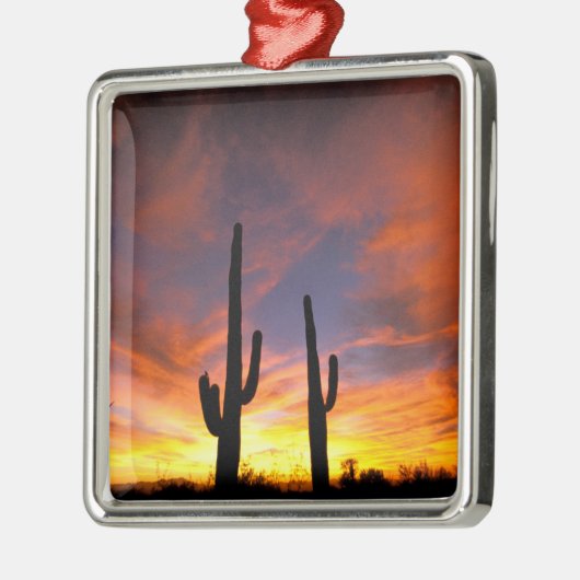 Nordamerika, USA, Arizona, Sonoran Wüste. Ornament Aus Metall (Links)