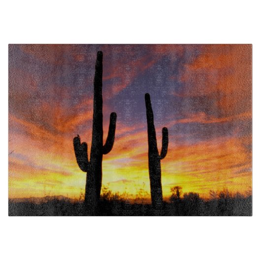 Nordamerika, USA, Arizona, Sonoran Wüste. Schneidebrett (Vorderseite)