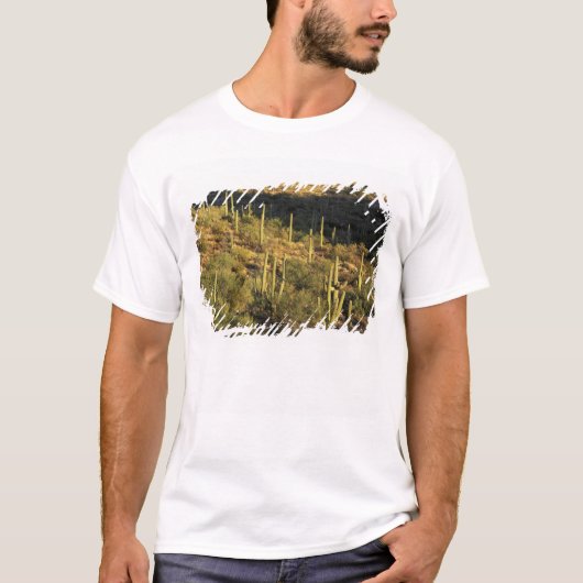 Nordamerika, USA, Arizona, Sonoran Wüste T-Shirt (Vorderseite)