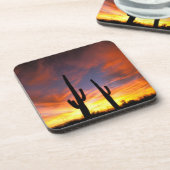 Nordamerika, USA, Arizona, Sonoran Wüste. Untersetzer (Linke Seite)