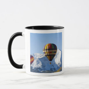 Nordamerika, USA, Colorado, Mt. Crested Butte, Tasse