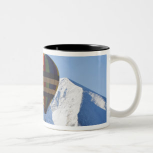 Nordamerika, USA, Colorado, Mt. Crested Butte, Zweifarbige Tasse