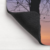 Nordamerika, USA, Florida, Dora, Mousepad (Ecke)