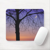 Nordamerika, USA, Florida, Dora, Mousepad (Mit Mouse)