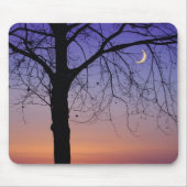 Nordamerika, USA, Florida, Dora, Mousepad (Vorne)