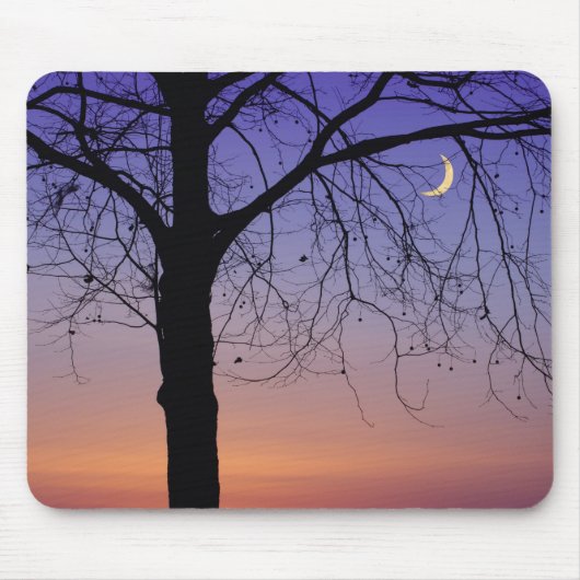 Nordamerika, USA, Florida, Dora, Mousepad (Vorne)