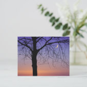 Nordamerika, USA, Florida, Dora, Postkarte (Stehend Vorderseite)