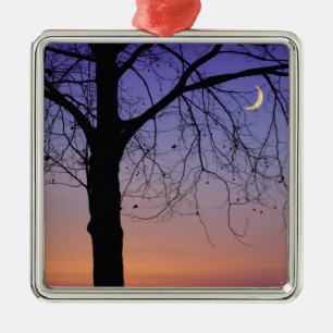 Nordamerika, USA, Florida, Dora, Silbernes Ornament