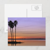 Nordamerika, USA, Florida, Dora, Trio Postkarte (Vorne/Hinten)