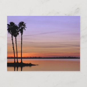 Nordamerika, USA, Florida, Dora, Trio Postkarte