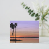 Nordamerika, USA, Florida, Dora, Trio Postkarte (Stehend Vorderseite)