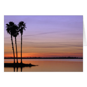 Nordamerika, USA, Florida, Mt. Dora, ein Trio