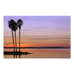 Nordamerika, USA, Florida, Mt. Dora, ein Trio Fotodruck