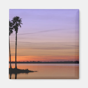 Nordamerika, USA, Florida, Mt. Dora, ein Trio Magnet
