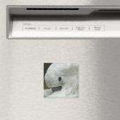 Nordamerika, USA, Florida, St. Augustine Magnet (In Situ (Geschirrspüler))