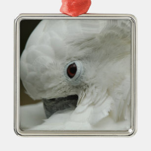 Nordamerika, USA, Florida, St. Augustine Silbernes Ornament