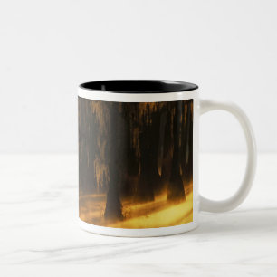 Nordamerika, USA, Georgia, George Smith Zweifarbige Tasse