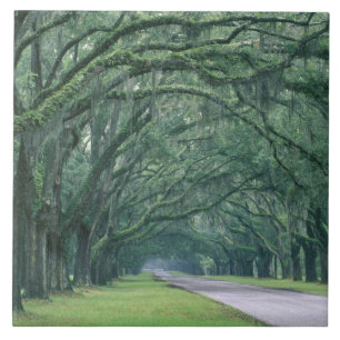Nordamerika, USA, Georgia, Savannah, Fliese