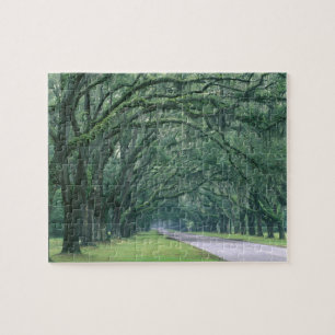 Nordamerika, USA, Georgia, Savannah, Puzzle