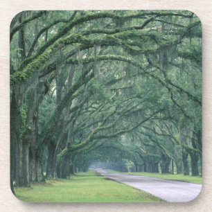 Nordamerika, USA, Georgia, Savannah, Untersetzer
