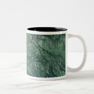 Nordamerika, USA, Georgia, Savannah, Zweifarbige Tasse
