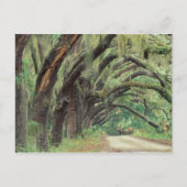 Nordamerika, USA, Georgien, Cumberland 2 Postkarte (Vorderseite)