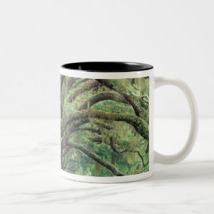 Nordamerika, USA, Georgien, Cumberland 2 Zweifarbige Tasse