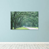 Nordamerika, USA, Georgien, Leinwanddruck (Insitu (Holzboden))