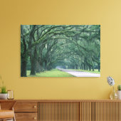 Nordamerika, USA, Georgien, Leinwanddruck (Insitu (Wohnzimmer))