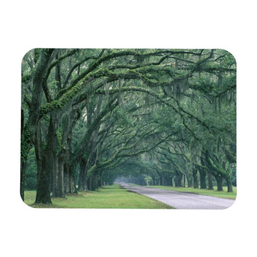 Nordamerika, USA, Georgien, Magnet (Horizontal)