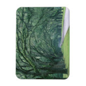 Nordamerika, USA, Georgien, Magnet (Vertikal)