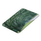 Nordamerika, USA, Georgien, Magnet (Linke Seite)