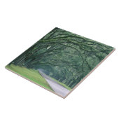 Nordamerika, USA, Georgien, Savannah, Fliese (Seite)