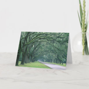 Nordamerika, USA, Georgien, Savannah, Karte