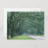 Nordamerika, USA, Georgien, Savannah, Postkarte (Vorne/Hinten)