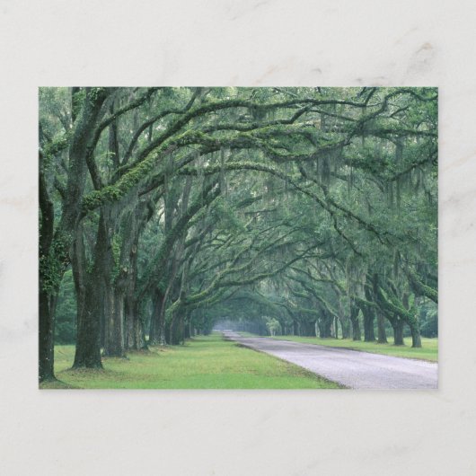 Nordamerika, USA, Georgien, Savannah, Postkarte (Vorderseite)